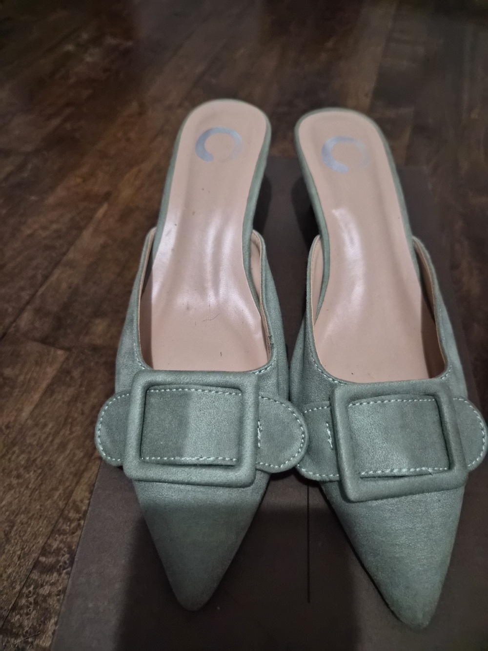 Women's Sage Green Pointed Toe Mule Heels